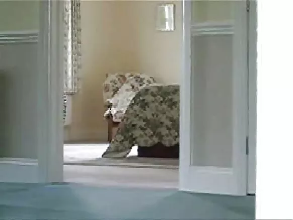 Ma cams ghaunenesko gha ŵanakazi ŵakukhwima, ma cams ghakubisika ghakubisika.
